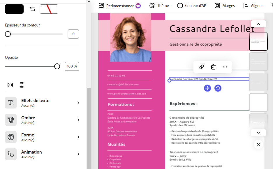 cv personnalisé