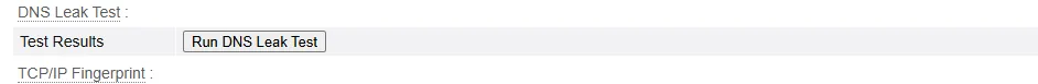 Bouton Run DNS Leak Test dans BrowserLeaks
