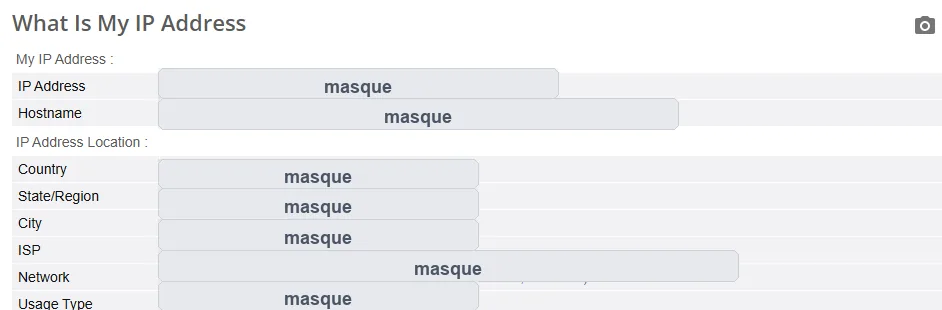 Adresse IP publique affichée dans BrowserLeaks pour tester un VPN