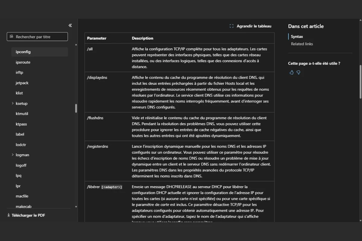documentation Microsoft du paramètre ipconfig flushdns